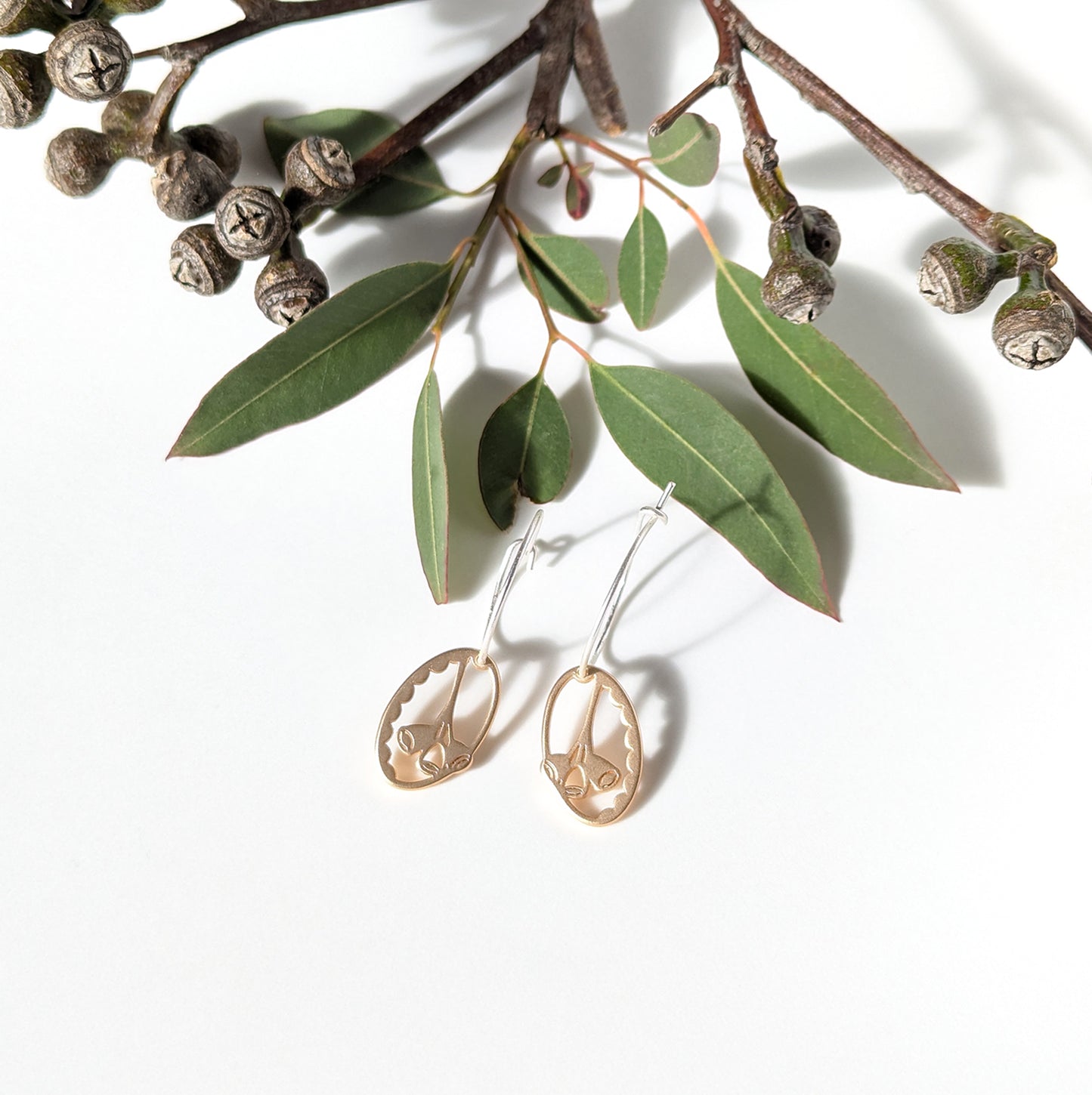 Gum Nut charm on small hoop earrings
