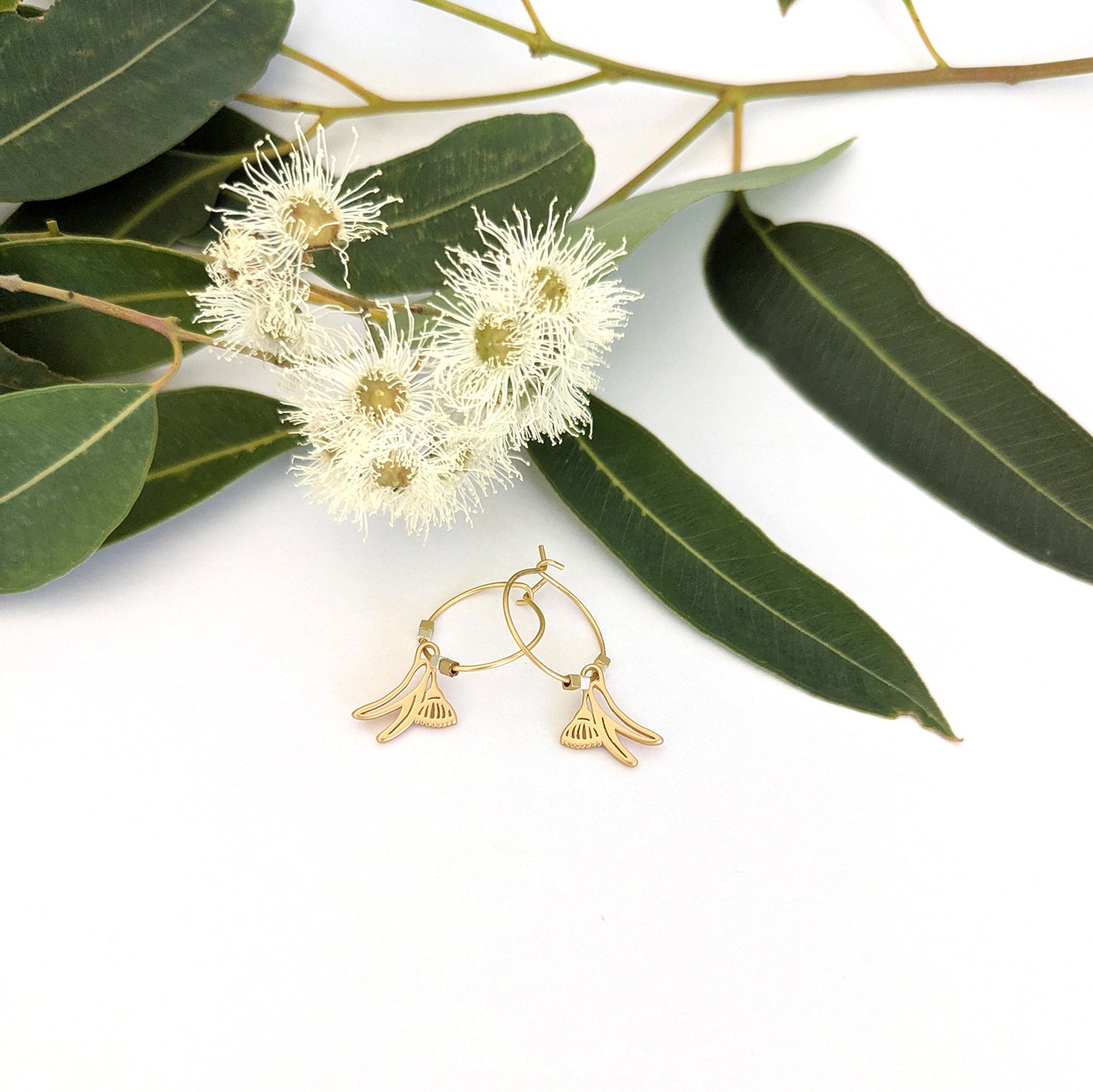 Flowering Gum hoop earrings