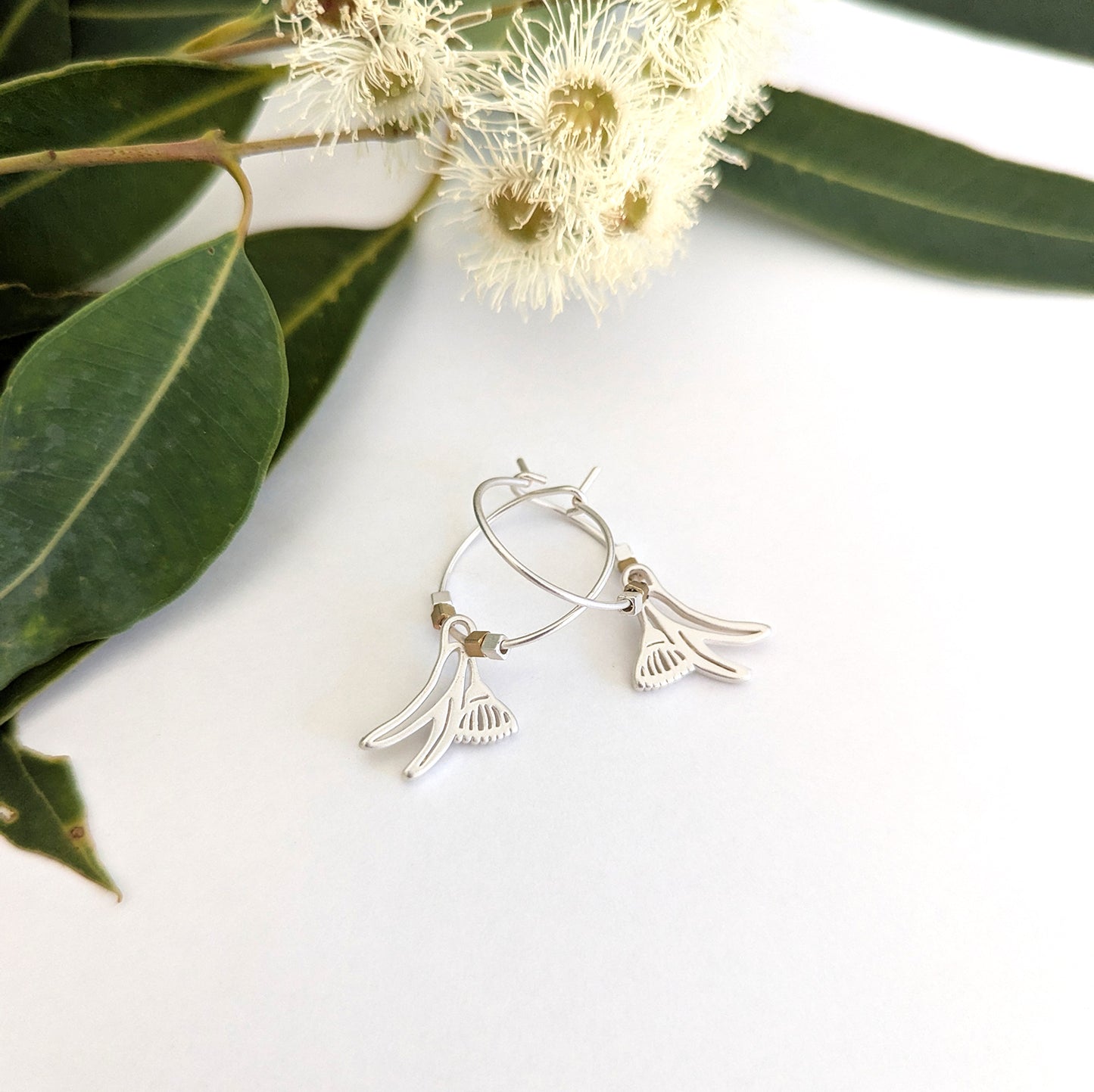 Flowering Gum hoop earrings