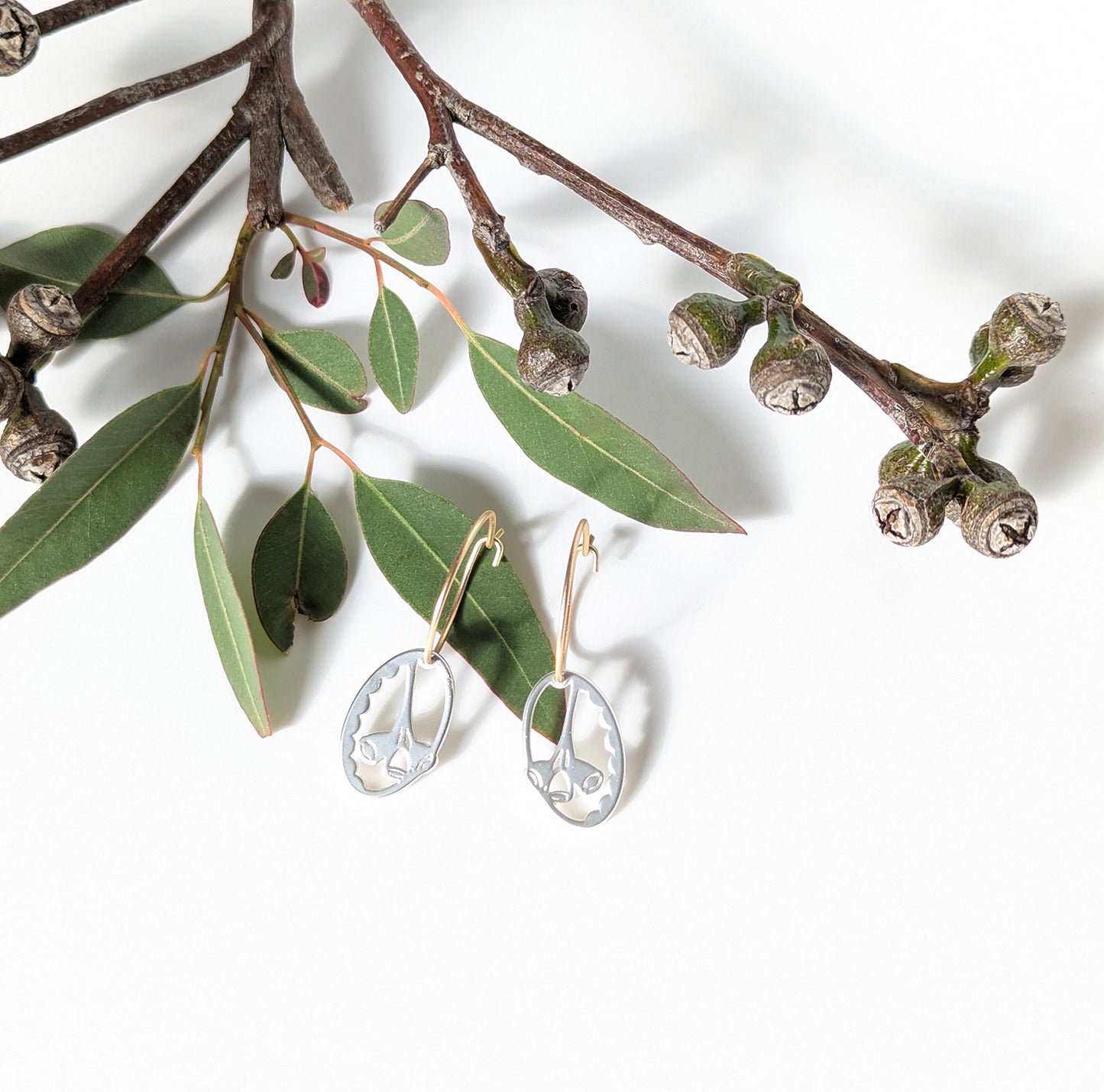 Gum Nut charm on small hoop earrings