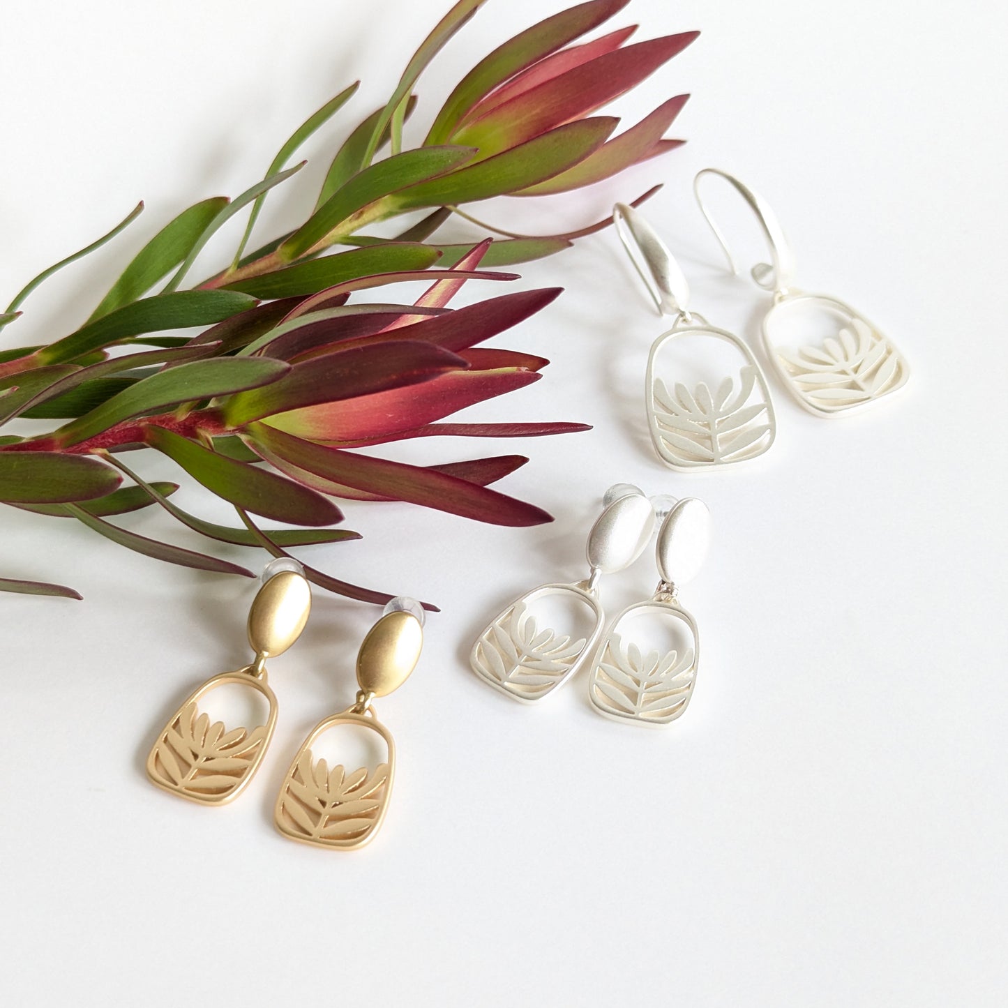 Leucadendron oval stud
